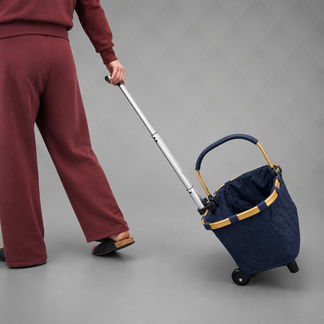 Trolley für Reisenthel 22L